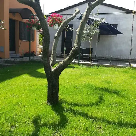 Apartman Pino * Pula